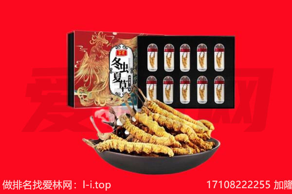 池州回收虫草.jpg